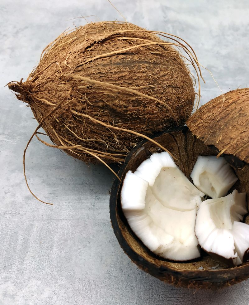 Coconut for export