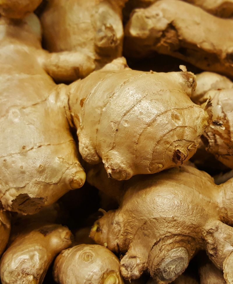 Ginger for export