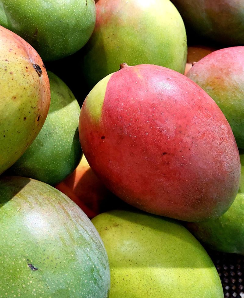 Mangoes for export