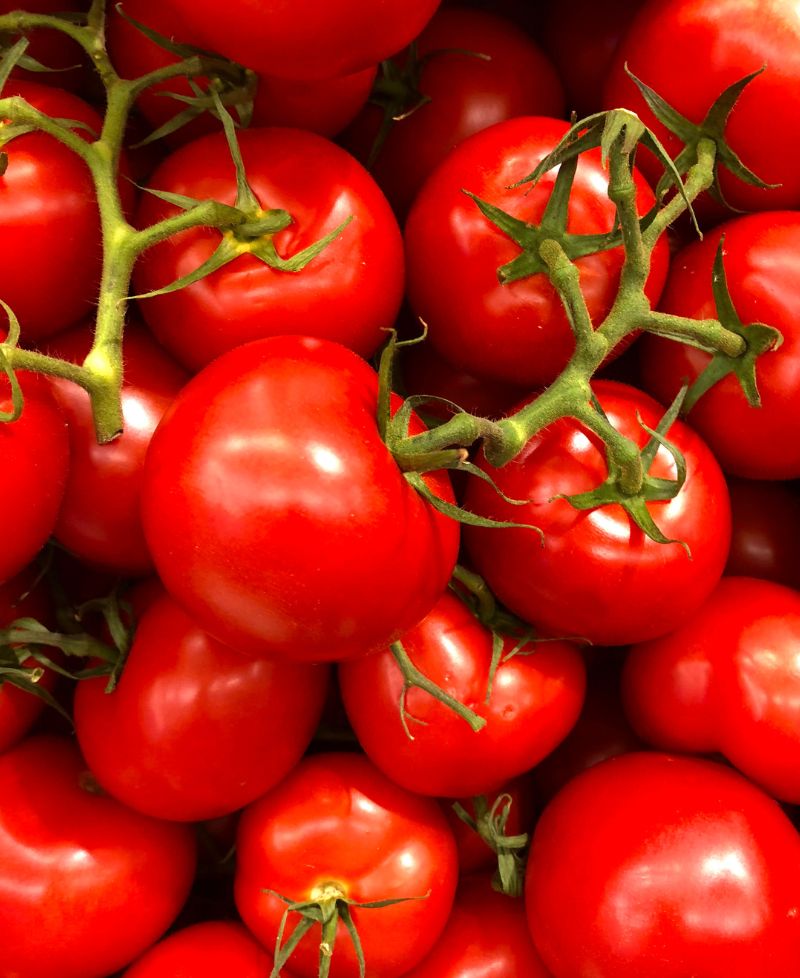 Tomatoes for export